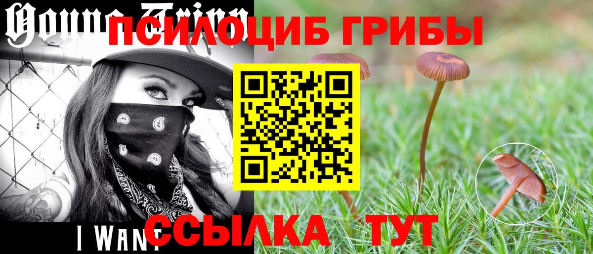 Псилоцибиновые грибы прущие грибы  Вход с VPN  Мелеуз 